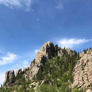 Meet your Posher, Lily